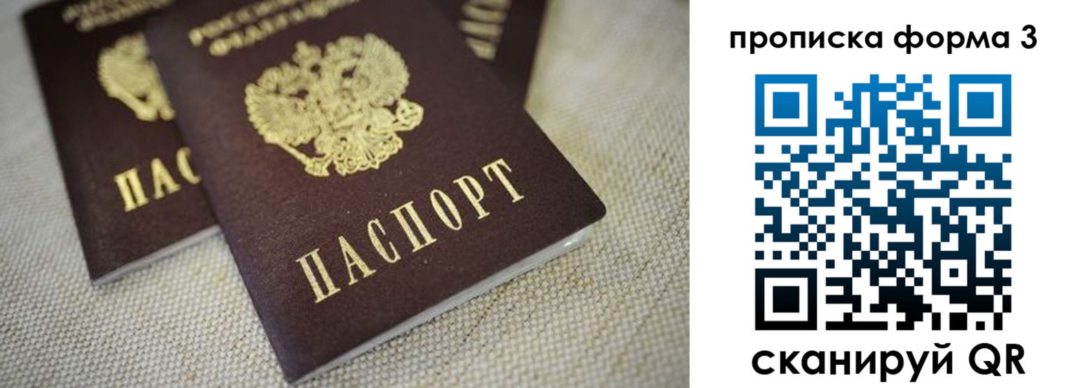 прописка поиск в Мурино